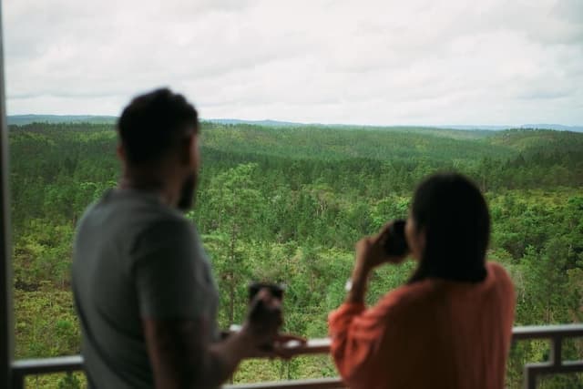 Fire Tower