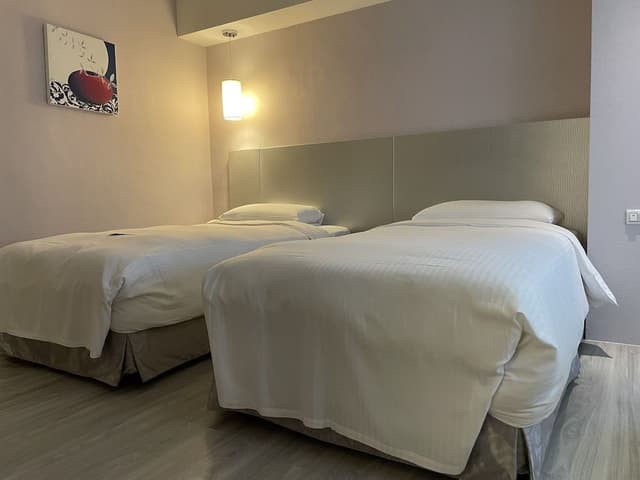 Business Twin Room