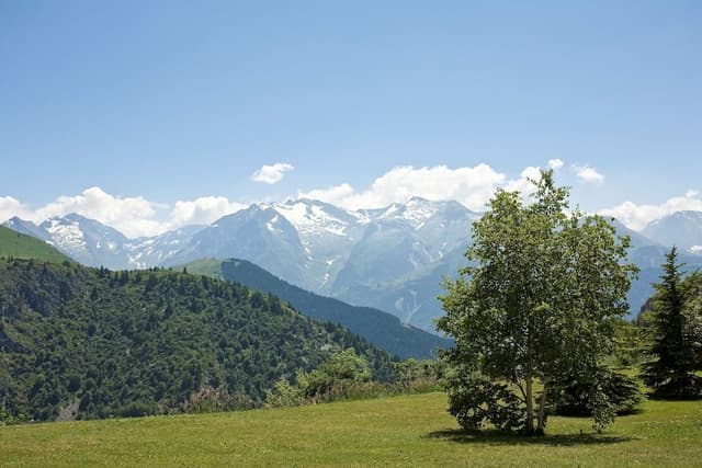 Family Suite, Balcony, Valley View