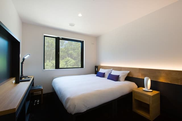 Deluxe Niseko Room (Upper Floor with Shower)