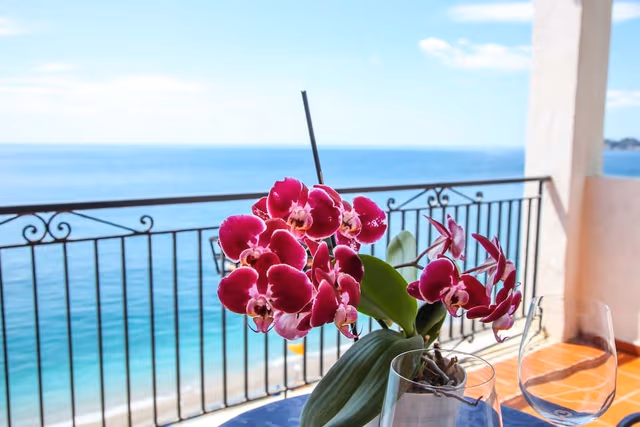 Deluxe Room, Terrace, Sea View