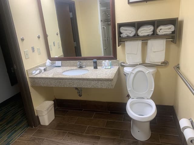 Room, 1 King Bed, Accessible, Non Smoking
