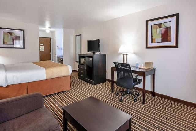 Standard Room, 1 King Bed with Sofa bed, Non Smoking