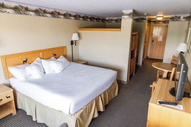 Signature Studio Suite