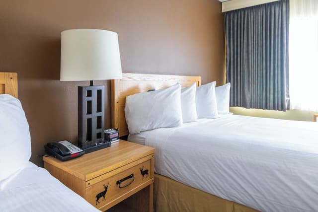 Basic Room, 2 Queen Beds