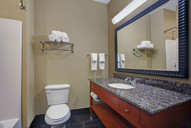 Standard Room, 1 King Bed, Non Smoking, Kitchenette