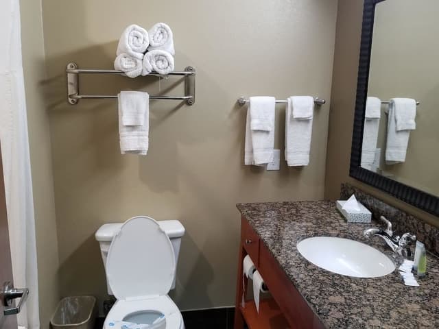 Standard Room, 1 King Bed, Non Smoking, Kitchenette