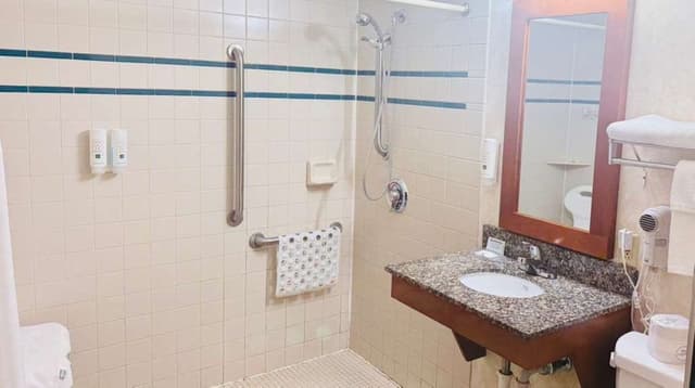 Room, 1 King Bed, Accessible, Non Smoking