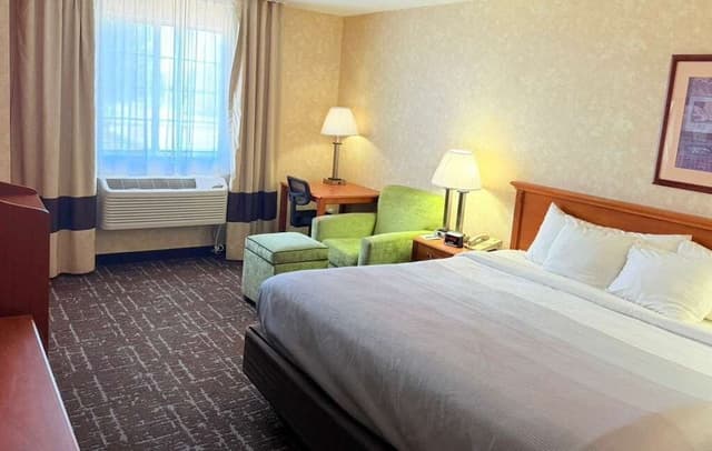 Standard Room, 1 King Bed, Non Smoking