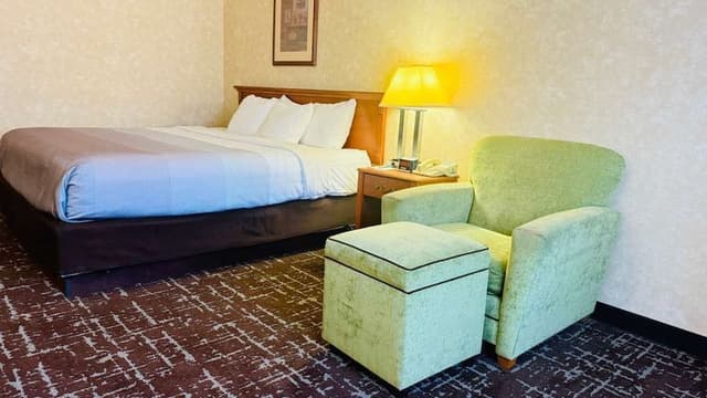 Room, 1 King Bed, Accessible, Non Smoking
