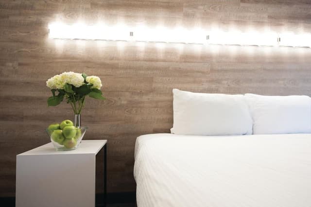 Standard Room, 2 Queen Beds Pet Friendly