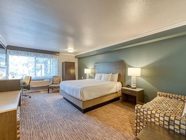 Standard Room, 1 King Bed, Accessible, Non Smoking (Roll-In Shower)