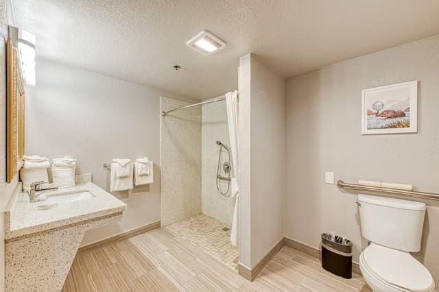 Standard Room, 1 King Bed, Accessible, Non Smoking (Roll-In Shower)