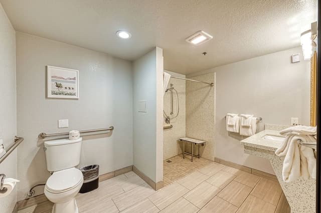 Standard Room, 1 King Bed, Accessible, Non Smoking (Roll-In Shower)