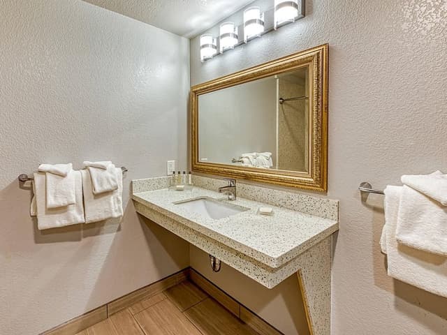 Standard Room, 1 King Bed, Accessible, Non Smoking (Roll-In Shower)