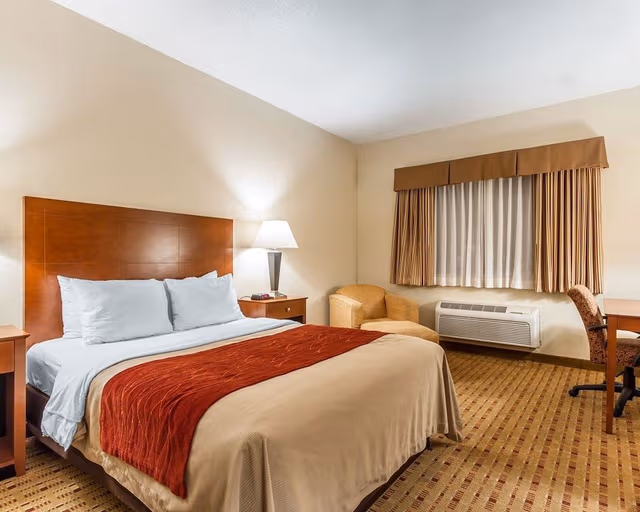 Room, 1 Queen Bed