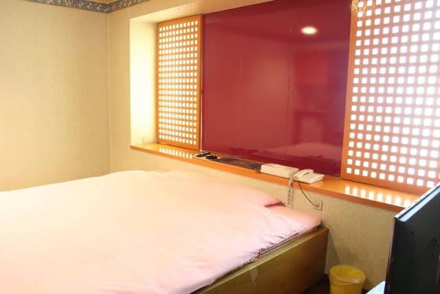 Standard Double Room, Smoking (Love Hotel, After 8pm Check-in & one night only)