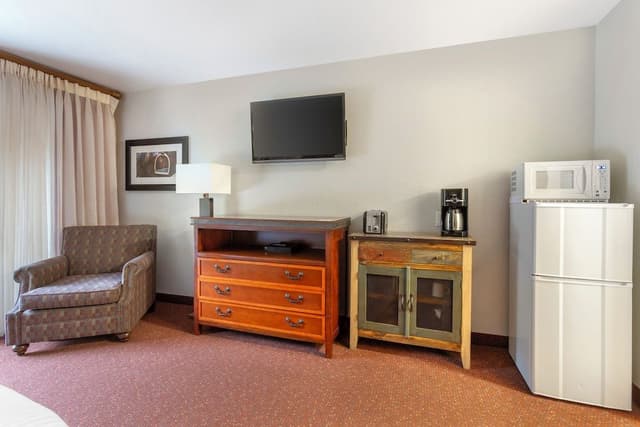 Studio, 1 King Bed, Refrigerator & Microwave (Efficiency)