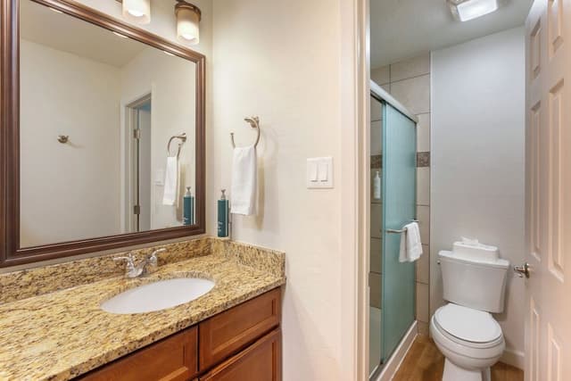Studio, 1 King Bed, Refrigerator & Microwave (Efficiency)