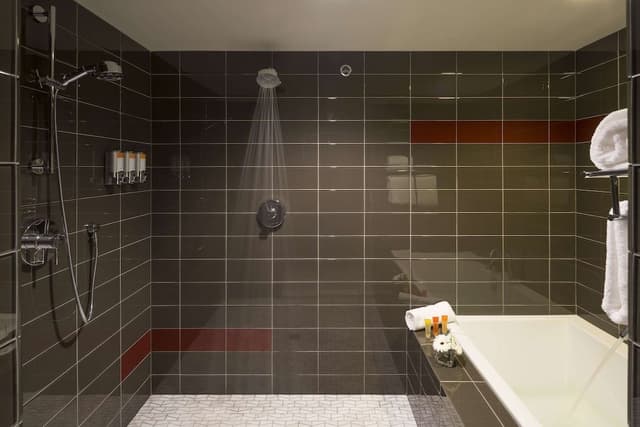 Suite, 1 King Bed, Non Smoking, City View (Walk-in Shower)