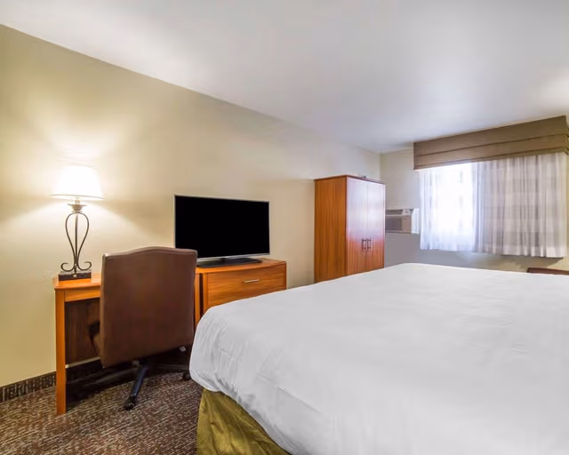 Standard Room, 1 King Bed, Non Smoking
