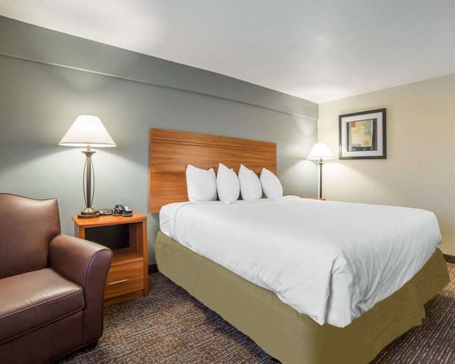 Standard Room, 1 King Bed, Non Smoking