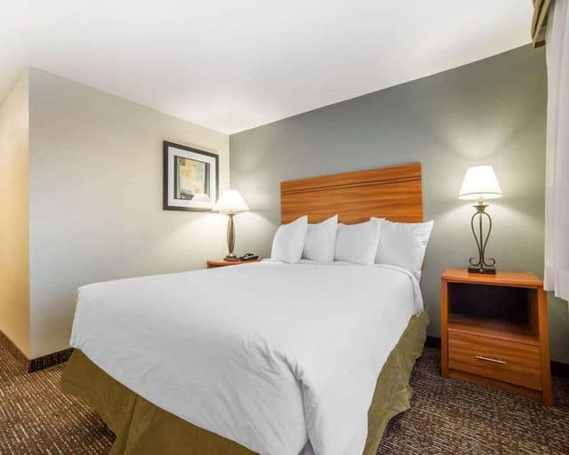Standard Room, 1 King Bed, Non Smoking