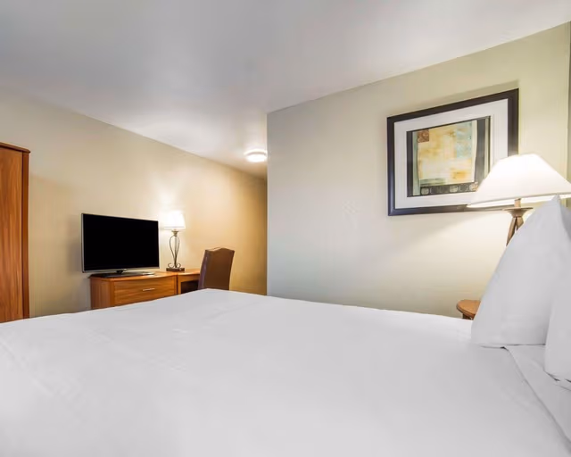 Standard Room, 1 King Bed, Non Smoking