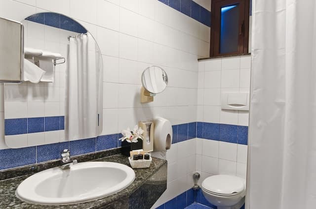 Classic Room, 1 Double Bed