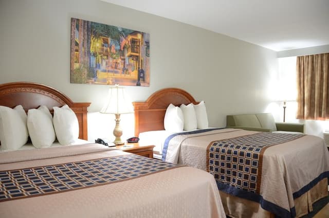 Family Studio Suite, 1 Bedroom