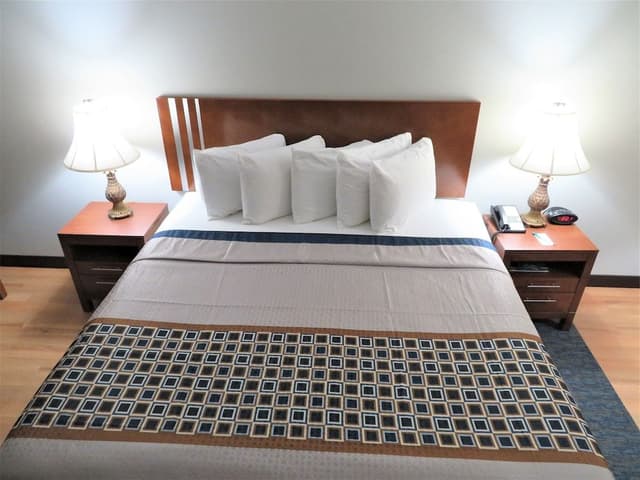 Standard Room, 1 Bedroom