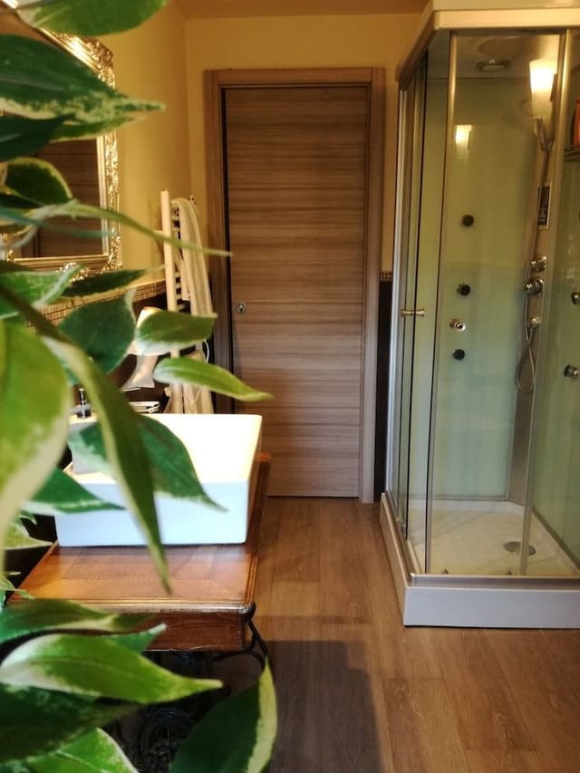 Luxury Suite, Private Bathroom