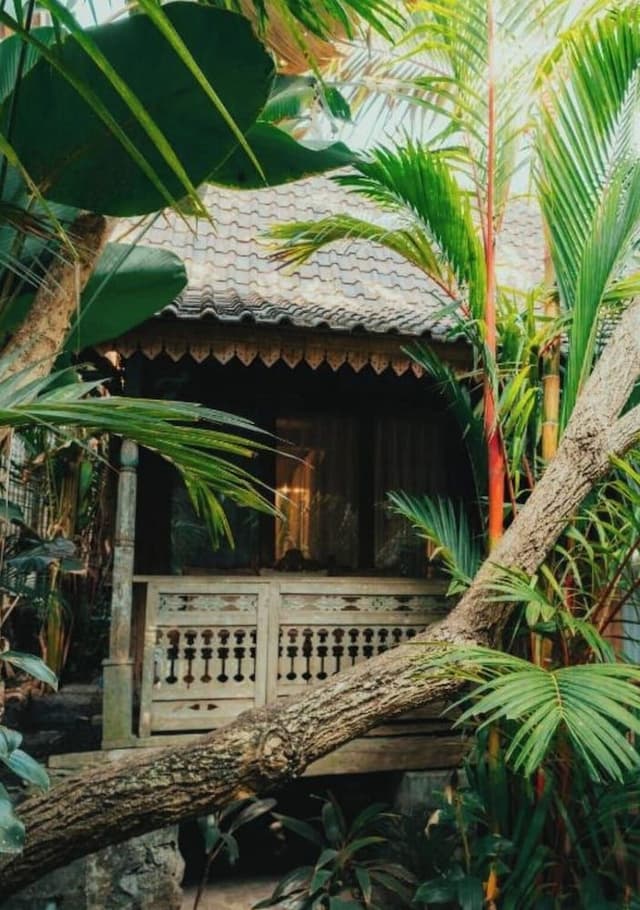 Comfort Bungalow, Garden View