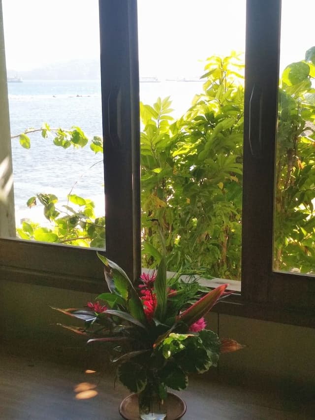 1 Bedroom Ocean View