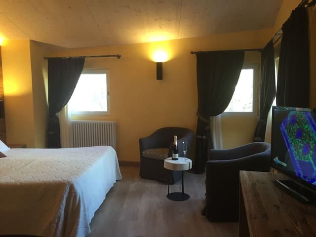 Double or Twin Room