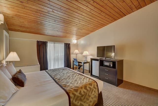 Standard Room, 1 King Bed, Refrigerator & Microwave