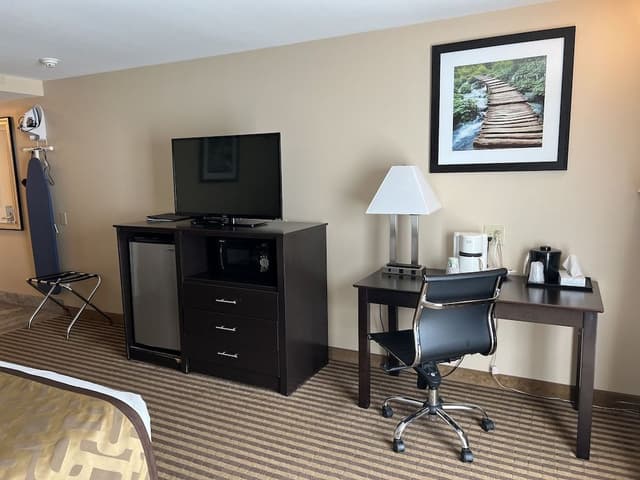 Standard Room, 1 King Bed, Refrigerator & Microwave