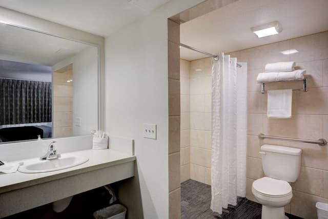 Deluxe Room, 1 King Bed, Accessible