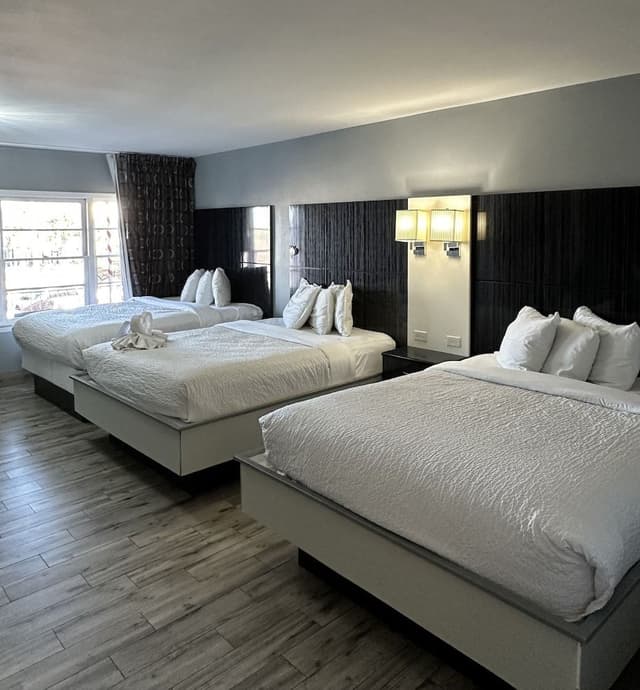 Standard Room, Multiple Beds, Non Smoking, Bay View
