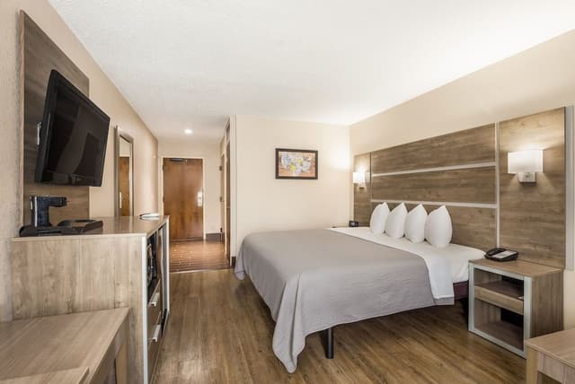 Standard Room, 1 King Bed, Non Smoking