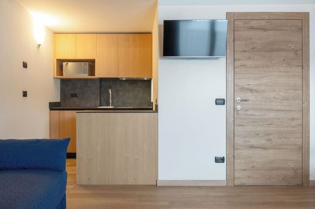 One-Bedroom Apartment in the Attic