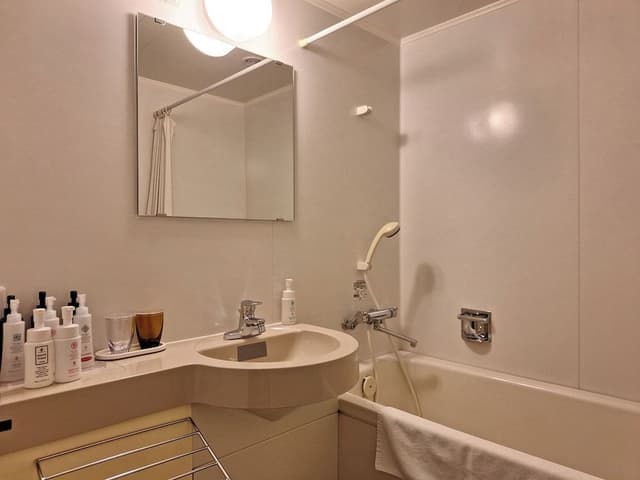 Annex Japanese Modern Room