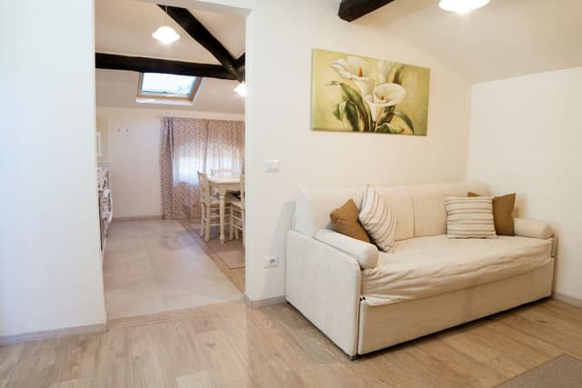 Comfort Apartment, Kitchen, City View (mansard, second floor, no elevator)