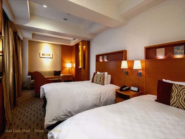 Deluxe Twin Room - Non-Smoking