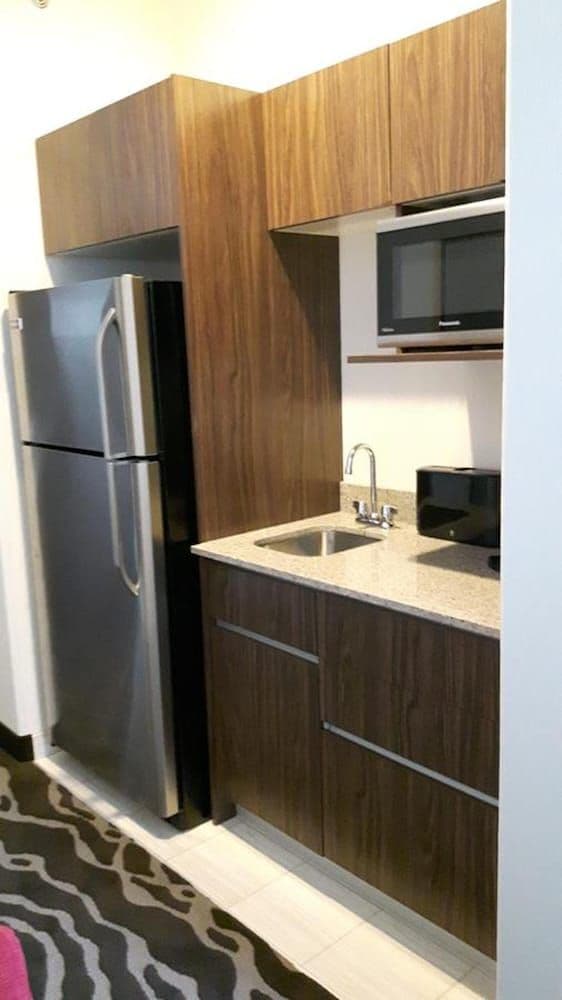Accessible, Roll-in Shower, Standard Room, 1 King Bed