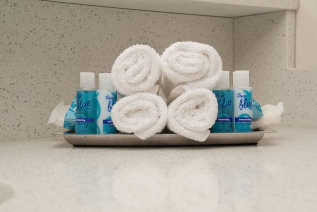 Accessible, Roll-in Shower, Standard Room, 1 King Bed