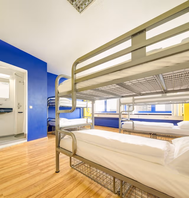 Shared Dormitory, Mixed Dorm