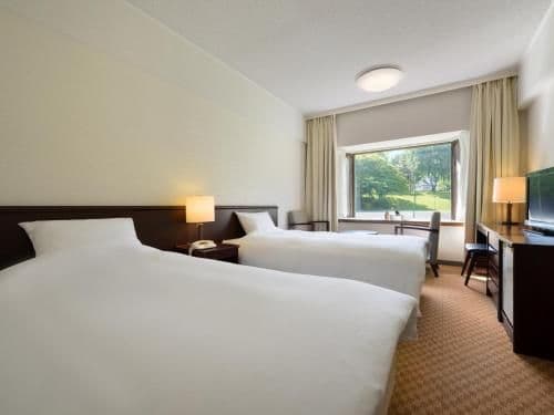 Deluxe Mountain View Twin Bed