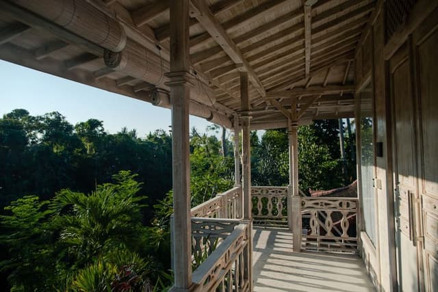 Superior Jure Villa with Jungle view