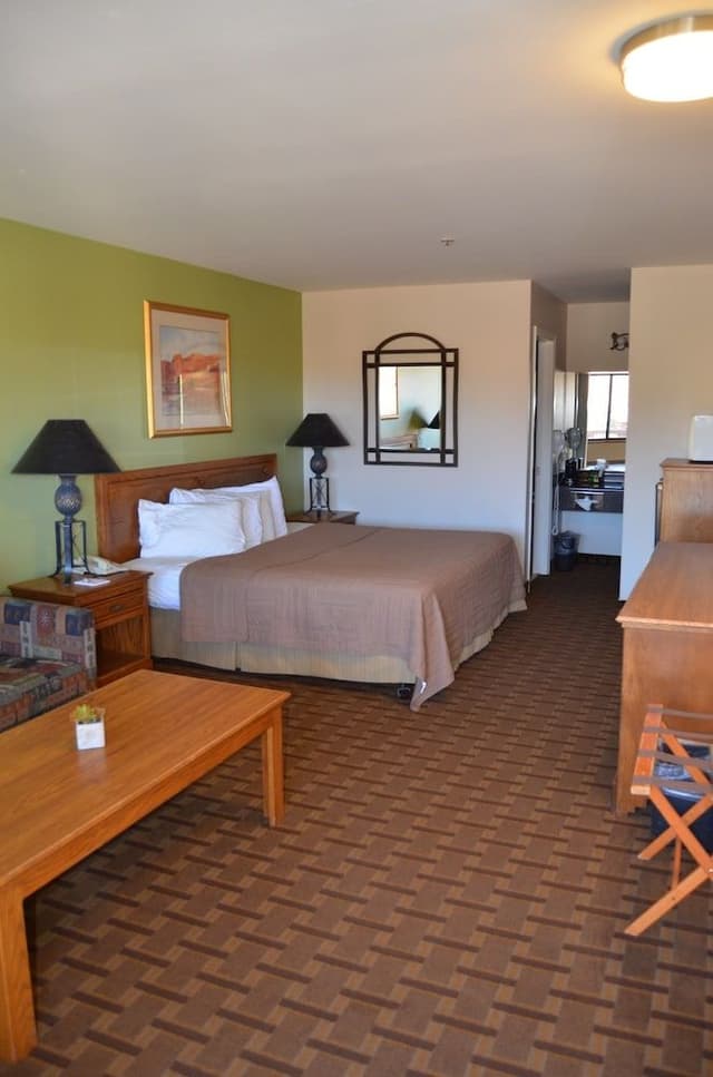 Junior Single Room (King)